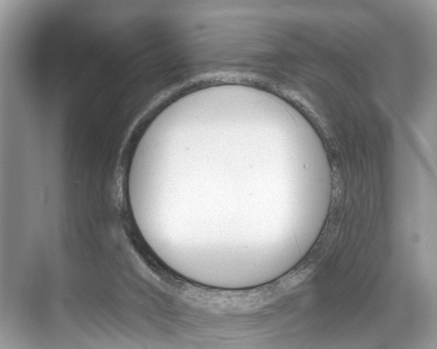 X0000074940016200609010957