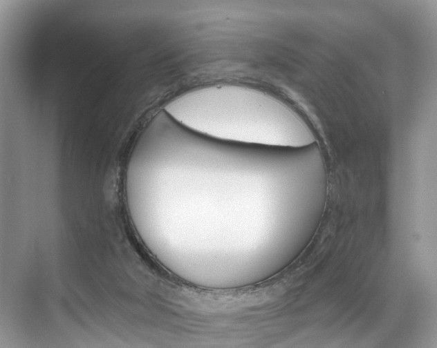 X0000074940018200609010957