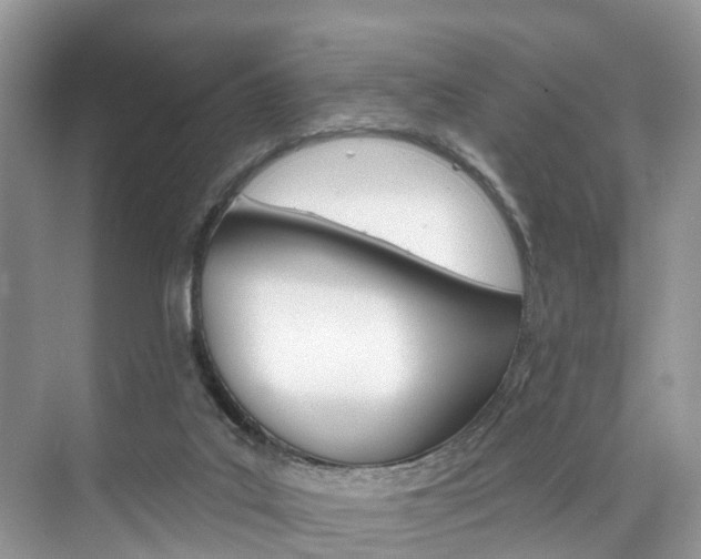 X0000074940019200609010957