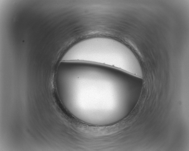 X0000074940023200609010957