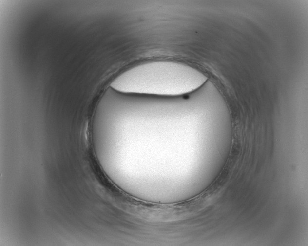 X0000074940024200609010957