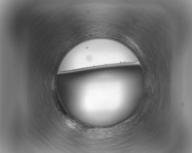 X0000074940025200609010956