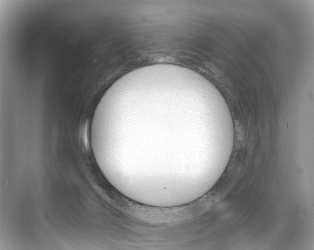 X0000074940028200609010956