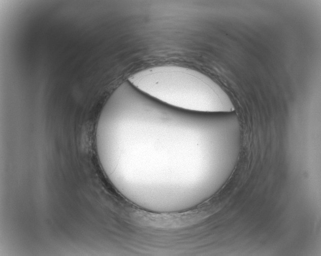 X0000074940030200609010956