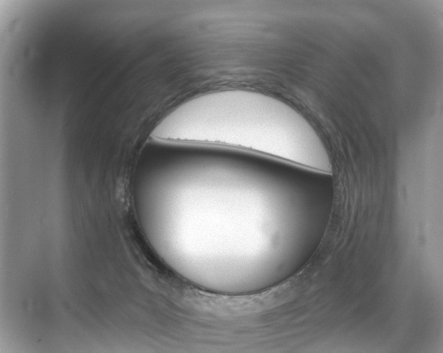 X0000074940031200609010956