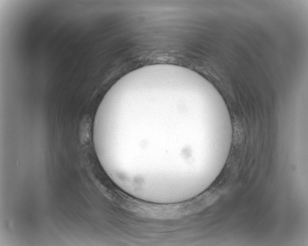 X0000074940032200609010956