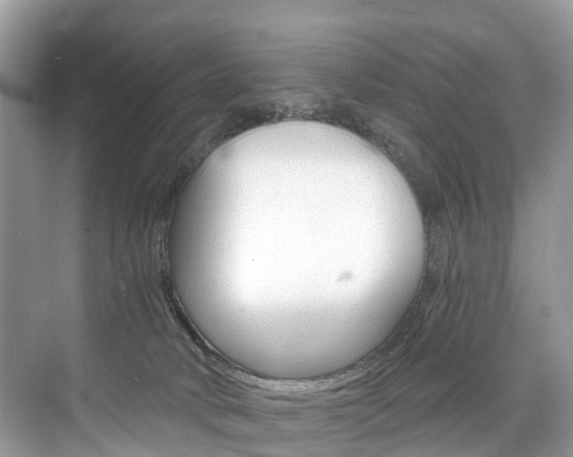 X0000074940034200609010956