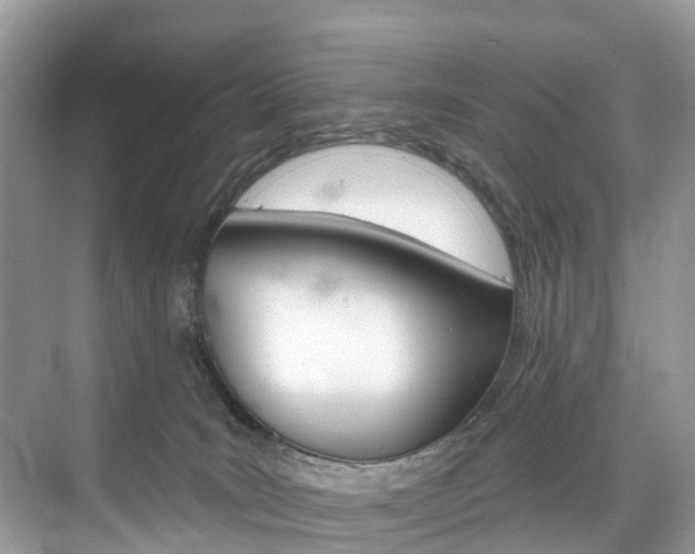 X0000074940035200609010956