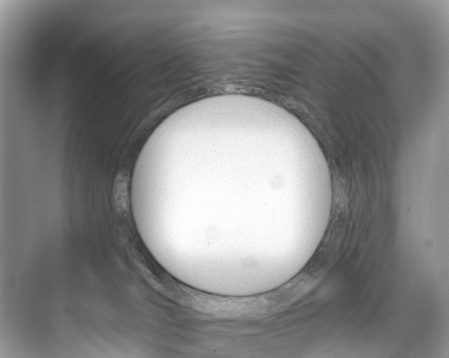 X0000074940036200609010956