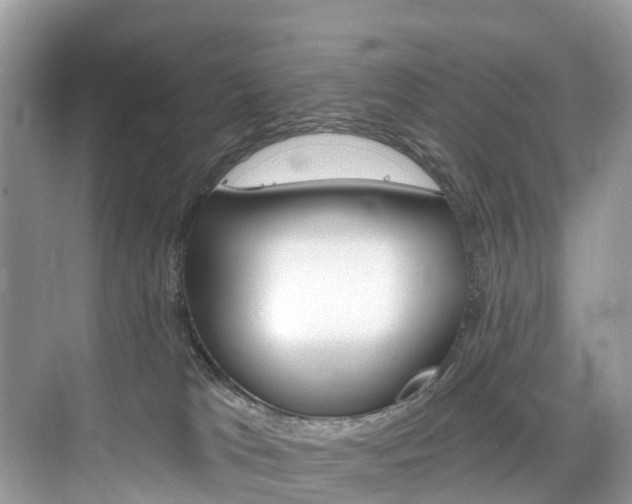 X0000074940037200609010956