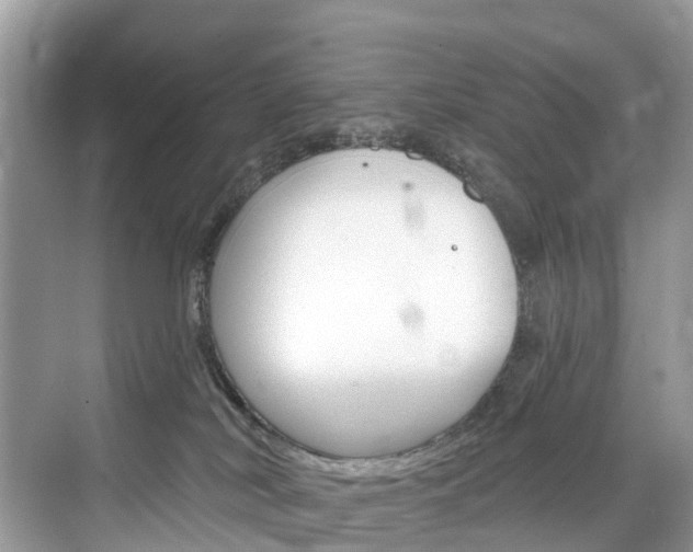 X0000074940038200609010956