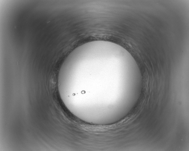 X0000074940040200609010956