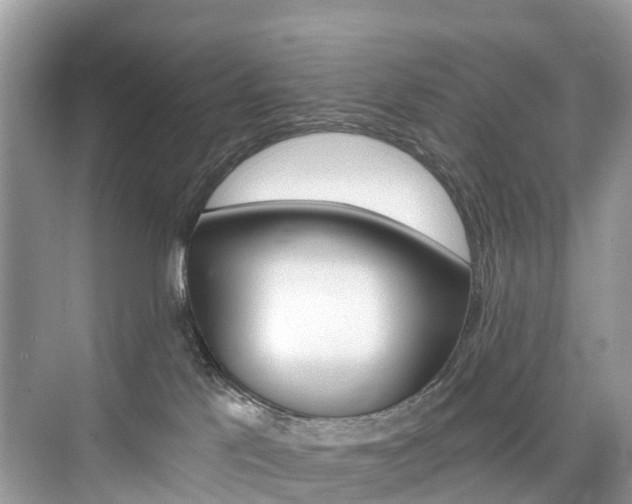 X0000074940041200609010956