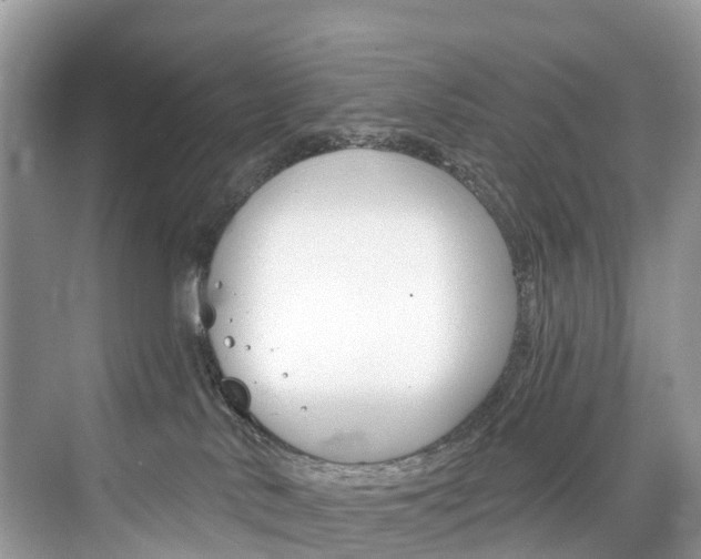 X0000074940042200609010956