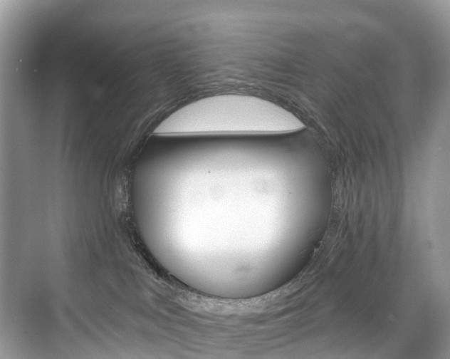 X0000074940043200609010956