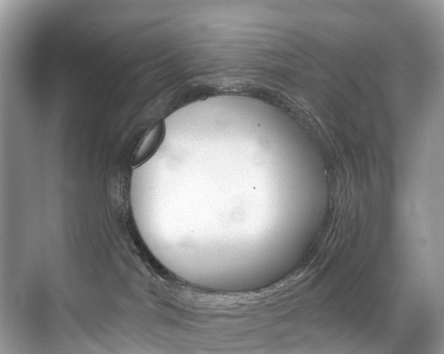 X0000074940044200609010956