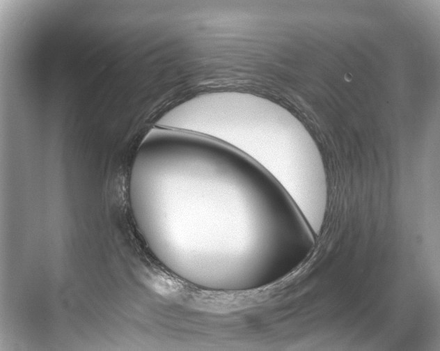 X0000074940045200609010956