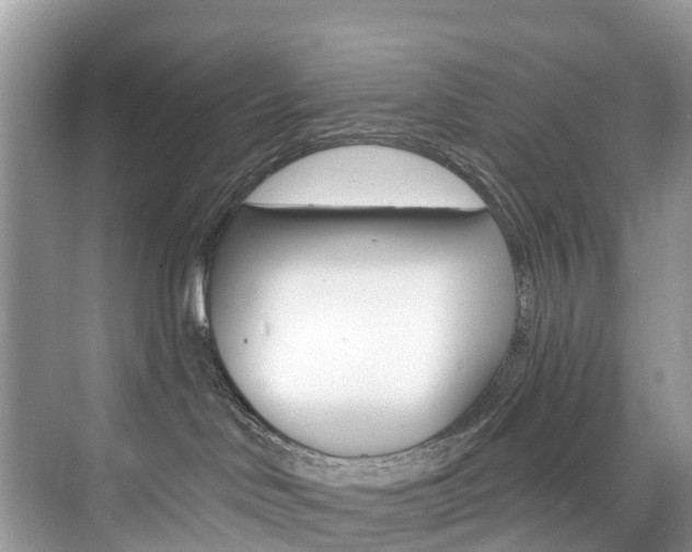 X0000074940046200609010956