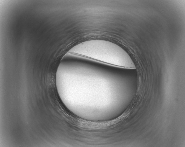 X0000074940048200609010956