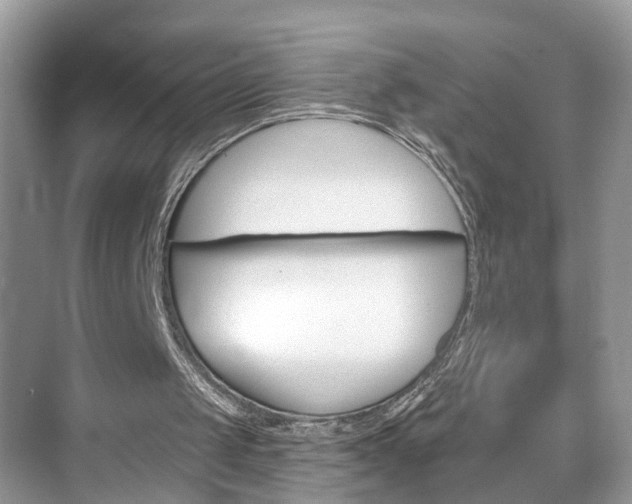 X0000074940049200609010955