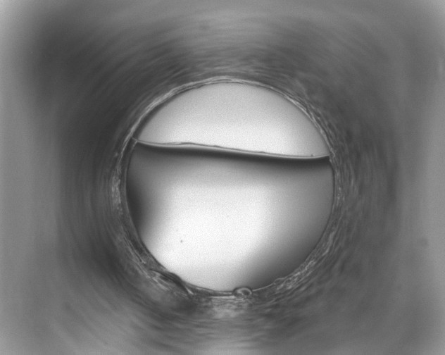 X0000074940050200609010955