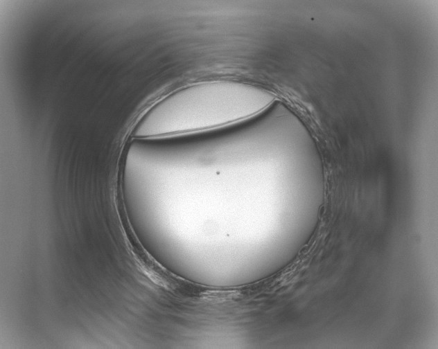 X0000074940051200609010955