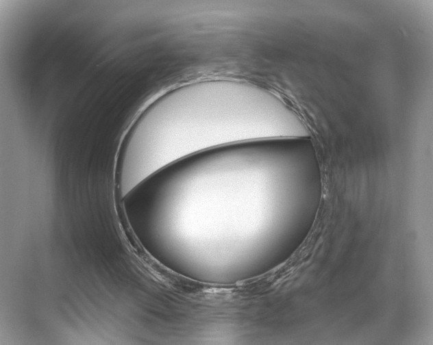 X0000074940052200609010955