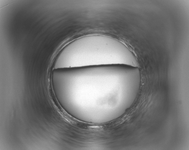 X0000074940053200609010955