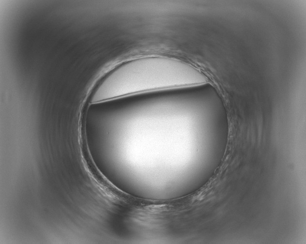 X0000074940054200609010955