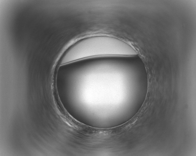 X0000074940056200609010955