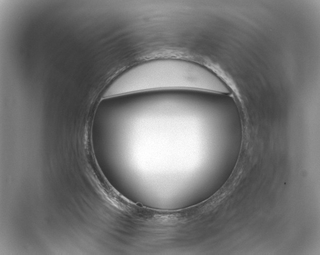 X0000074940057200609010955