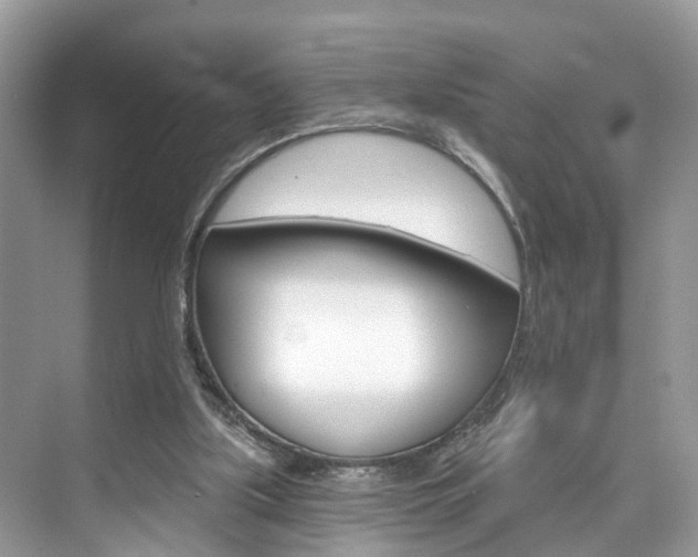 X0000074940059200609010955