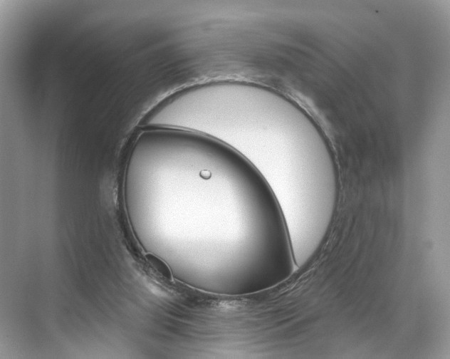 X0000074940060200609010955