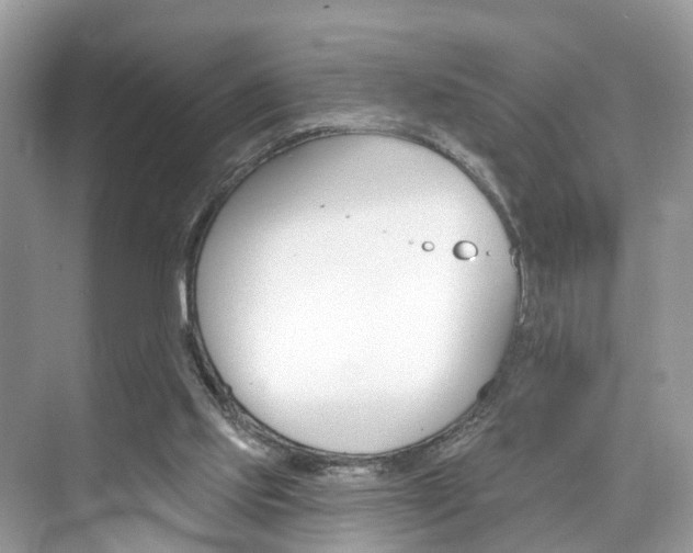 X0000074940061200609010955