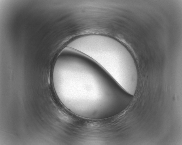 X0000074940062200609010956