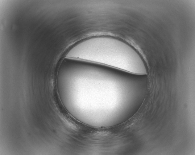 X0000074940063200609010956