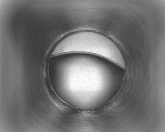 X0000074940064200609010956