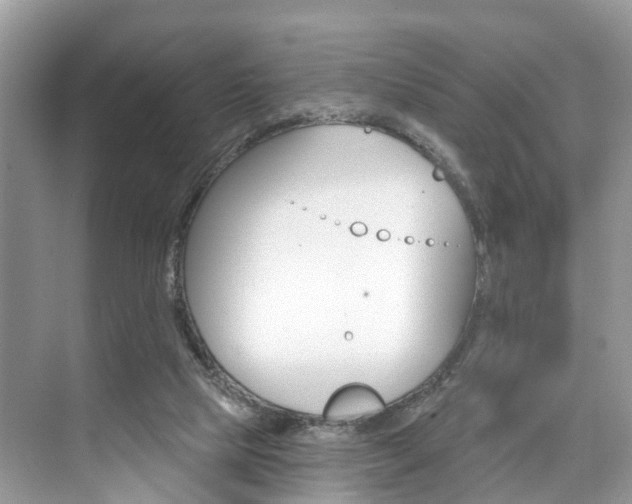 X0000074940065200609010956