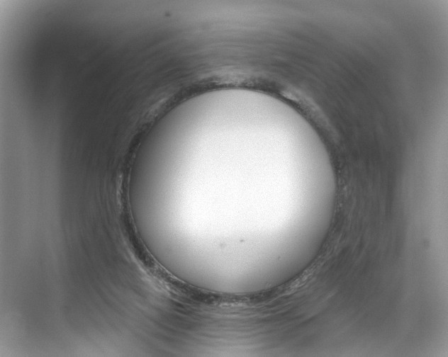 X0000074940066200609010956