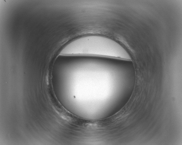 X0000074940068200609010956