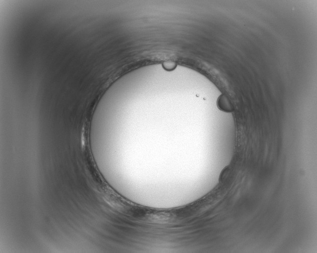 X0000074940069200609010956