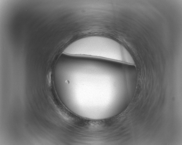 X0000074940070200609010956