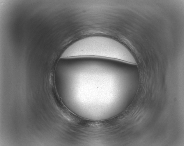 X0000074940071200609010956