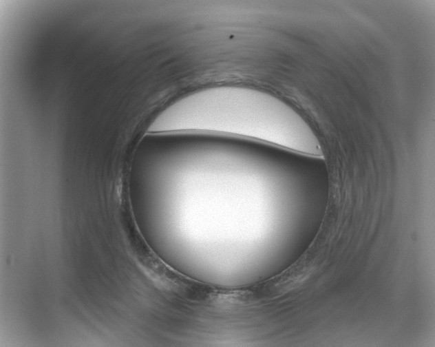 X0000074940072200609010956