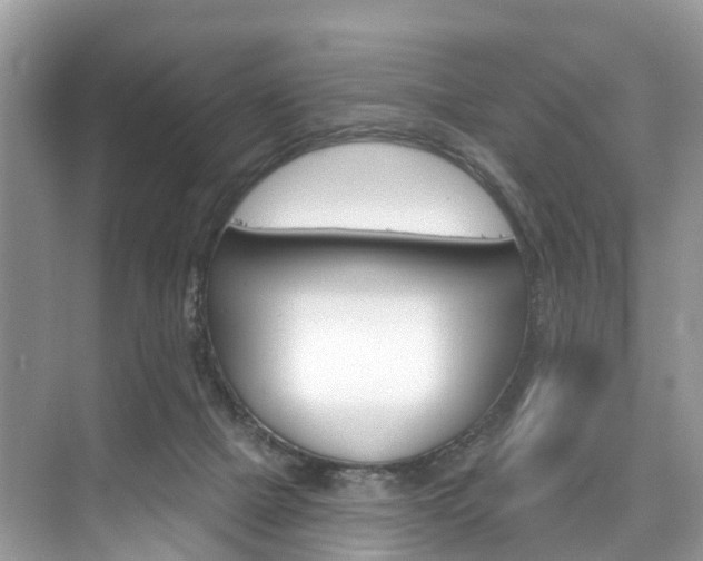 X0000074940073200609010956