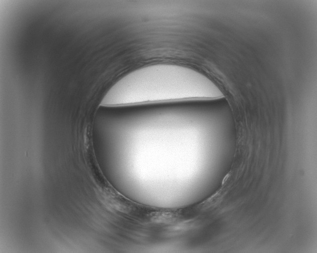 X0000074940074200609010956