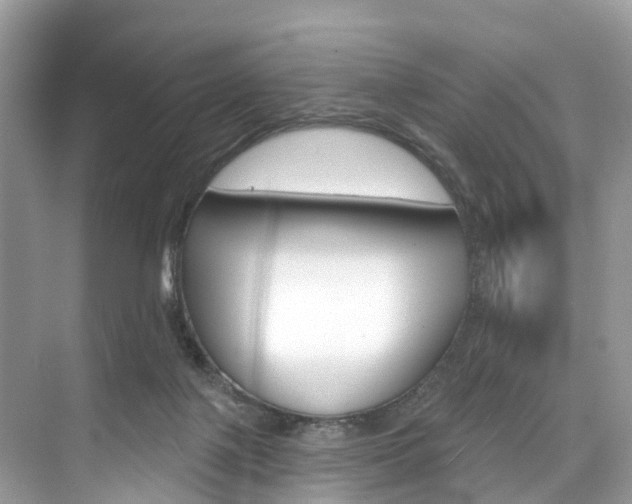 X0000074940075200609010956