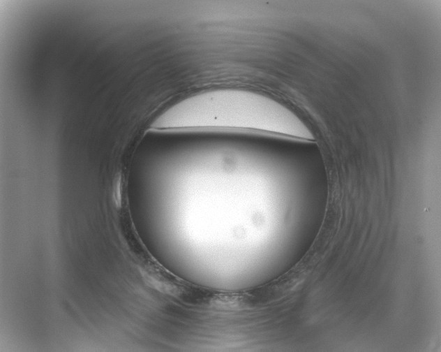 X0000074940076200609010956