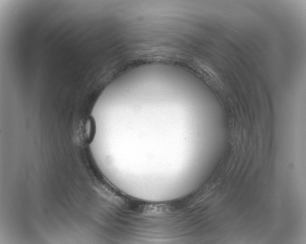 X0000074940077200609010956