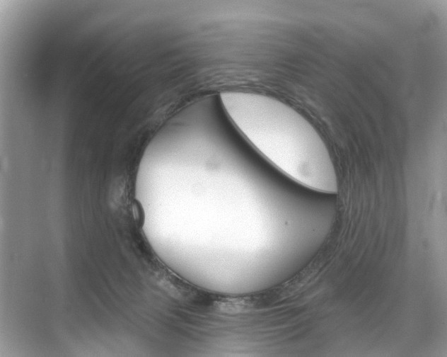 X0000074940079200609010956